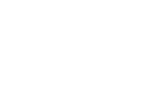 Brand logo on footer
